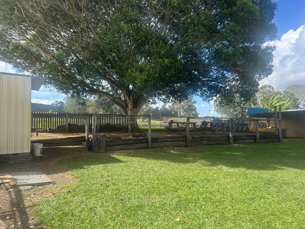 gundy pub&caravan park Gundiah Exterior foto